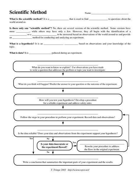 scientific method worksheet pdf middle school